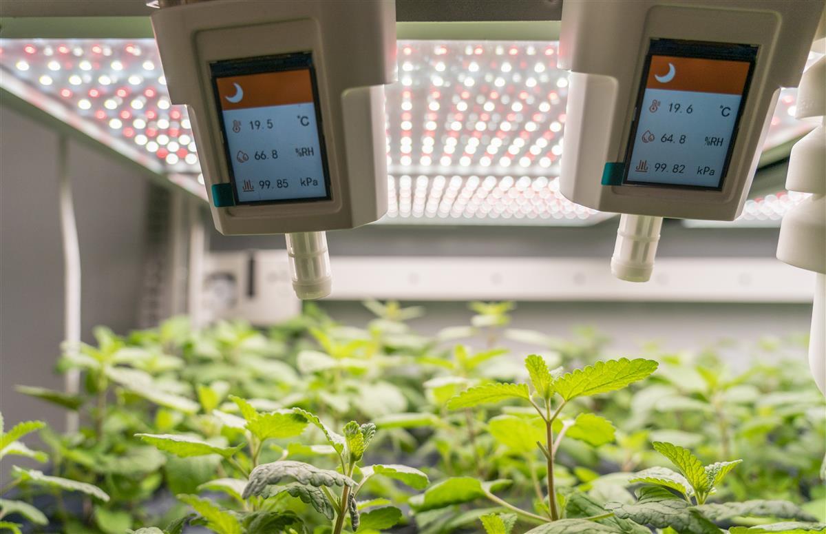 光谷企業(yè)創(chuàng)新研發(fā)'植物工廠' 以LED燈為'太陽'，驅(qū)動(dòng)基礎(chǔ)軟件服務(wù)新生態(tài)